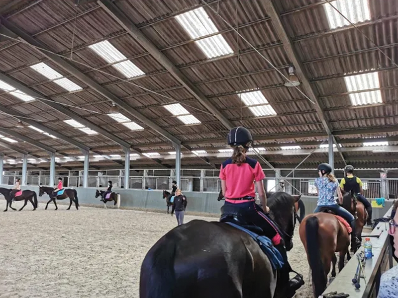 Kinderen en paarden op Ruiterkamp Pulderbos